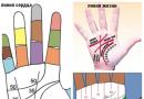 Kädentaidot: kuinka lukea kohtalon merkkejä käsin