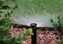 Den Ertrag verdoppeln: Tropfbewässerung im Gewächshaus selbst machen