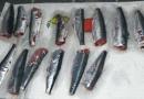Konzervované sardinky - kalórie, výhody a poškodenie Pečené sardinky
