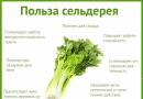 Celer pro hubnutí: recepty a recenze - užitečné vlastnosti