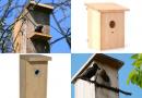 Izdelava preproste ptičje hišice iz lesa z lastnimi rokami. Mojstrski tečaji o izdelavi ptičjih hiš