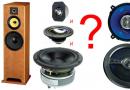 Akustiksystem zum Selbermachen: Auswahl der Lautsprecher, Akustikdesign, Herstellung Herstellung von Gittern für die Akustik auf Bestellung