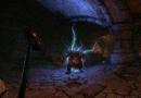 Развитие на характера.  Archer.: The Elder Scrolls Online.  The Elder Scrolls Online Wizard Beginner Guide Teso Build Mage Summoner