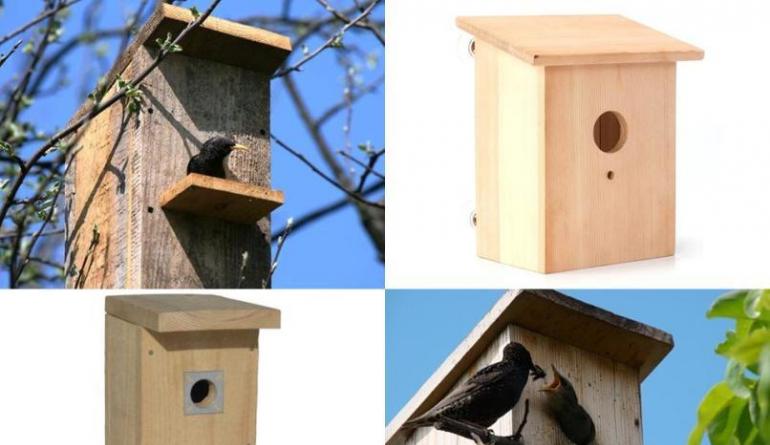 अपने हाथों से लकड़ी से एक साधारण पक्षी घर बनाना पक्षी घर बनाने पर मास्टर कक्षाएं