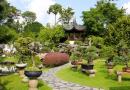 Perinteinen kiinalainen puutarha: kuvaus, tyypit ja ominaisuudet Kiinalaisten puutarhojen tunnetyypit