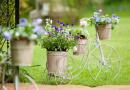 Украсяваме градински легла: нестандартни решения от импровизирани средства