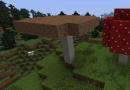 مزرعه قارچ در Minecraft